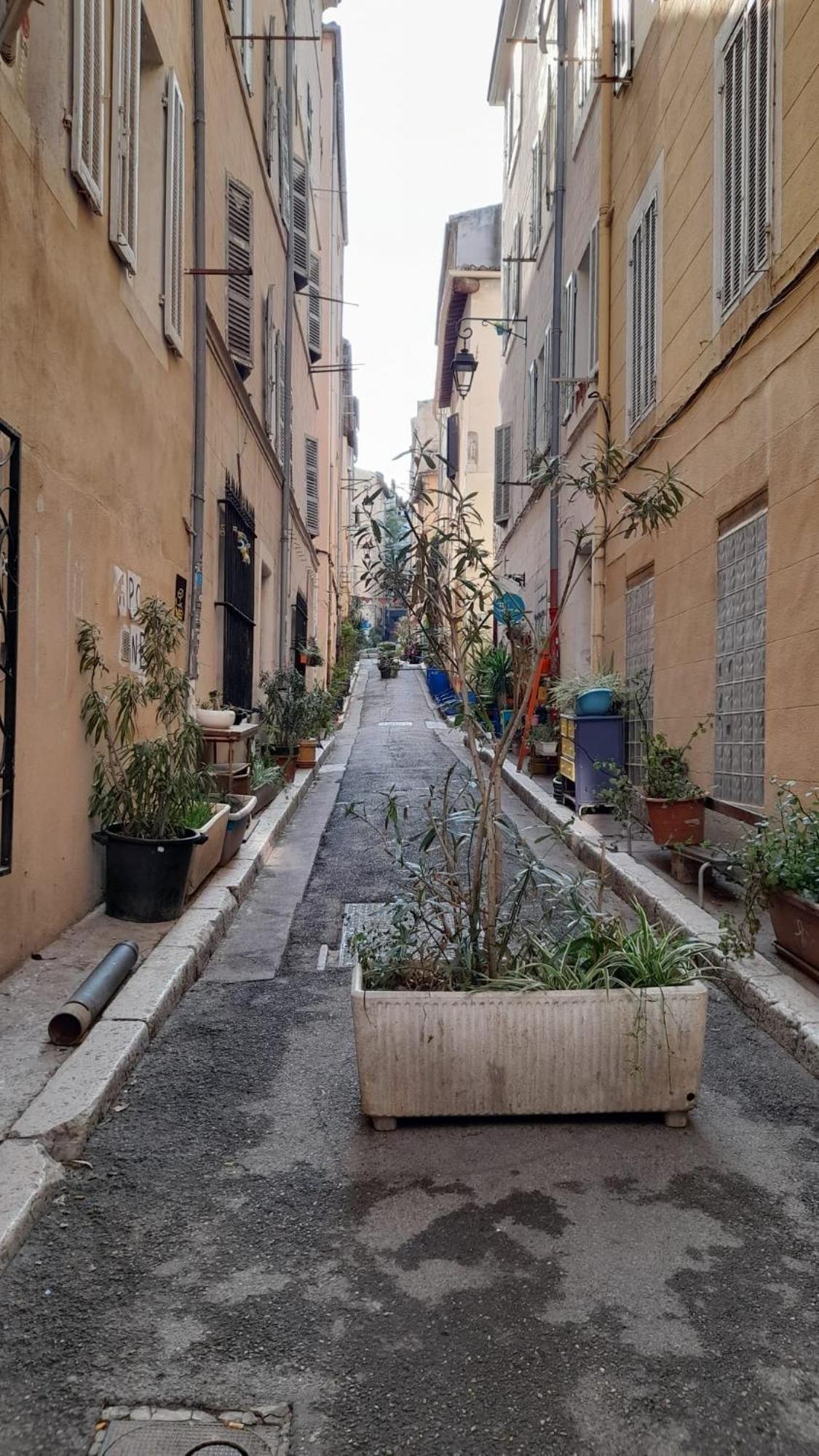 Le Cosy Apartment Marseille Exterior photo